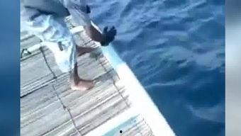 国产金枪鱼钓鱼视频,畅享海洋捕捞的激情与乐趣