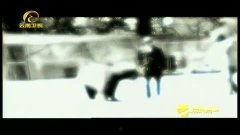 国产熊视频在线观看